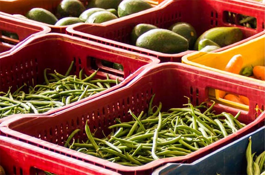Alimentos in natura em caixas plásticas abertas